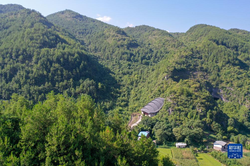 摇钱树网站开奖结果